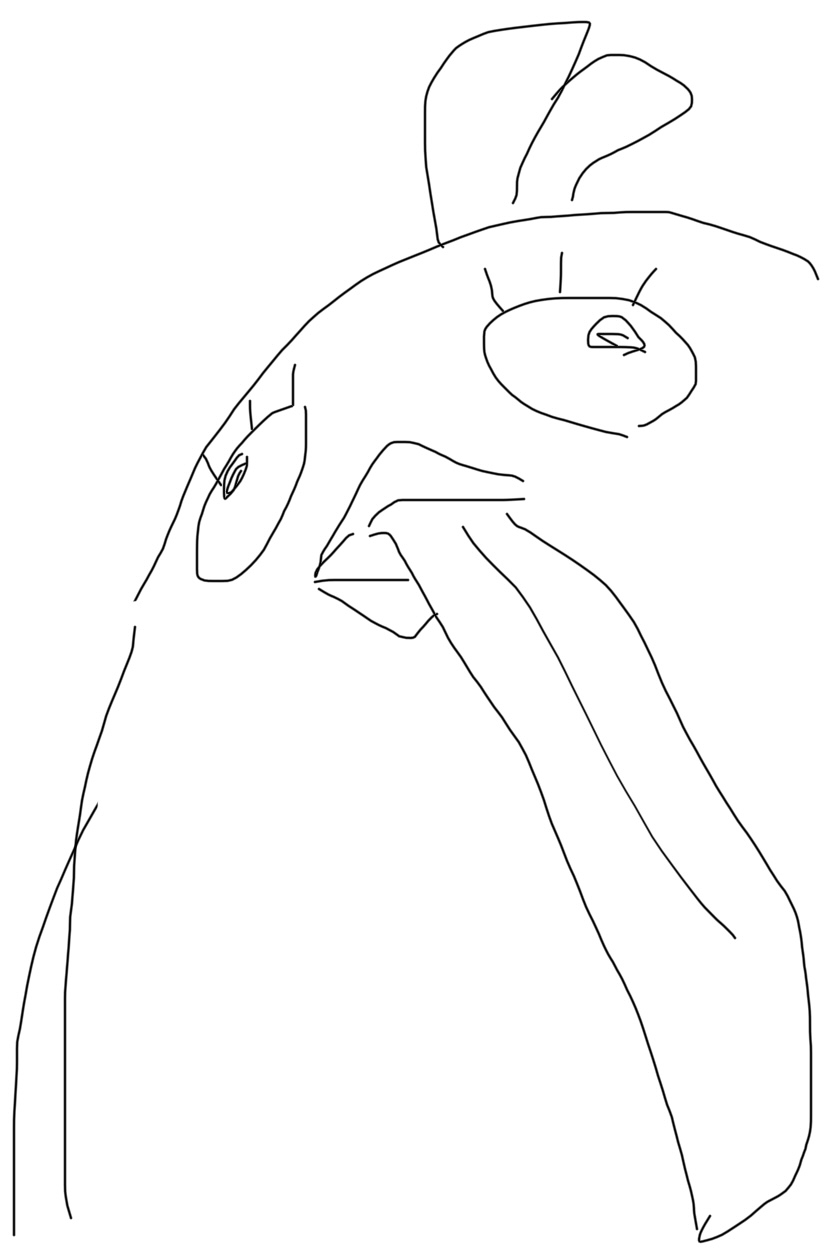 ブルアカまとめ