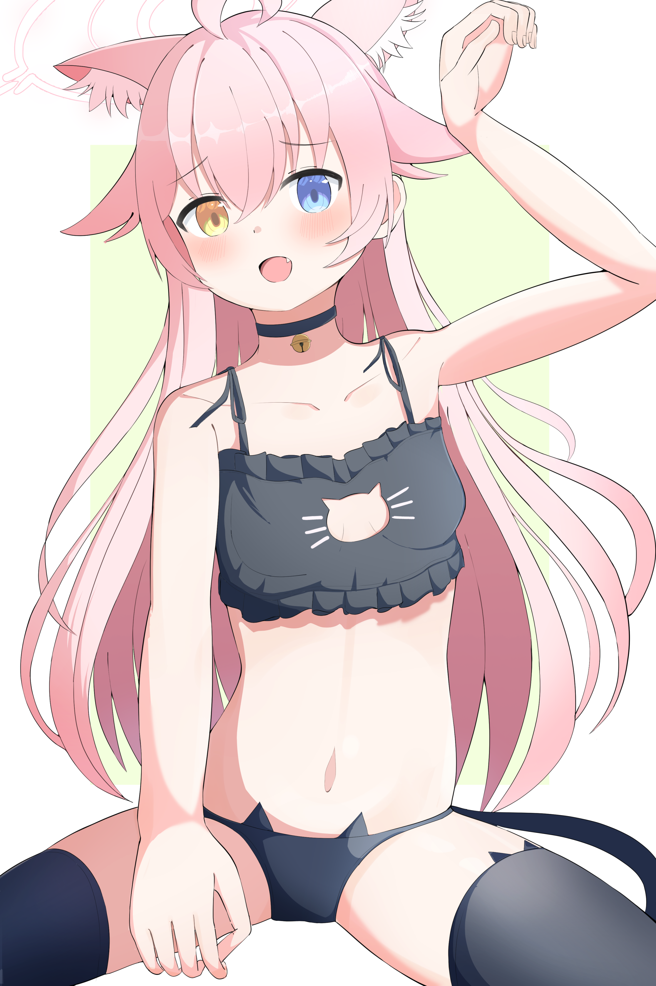 猫ランジェリーホシノ