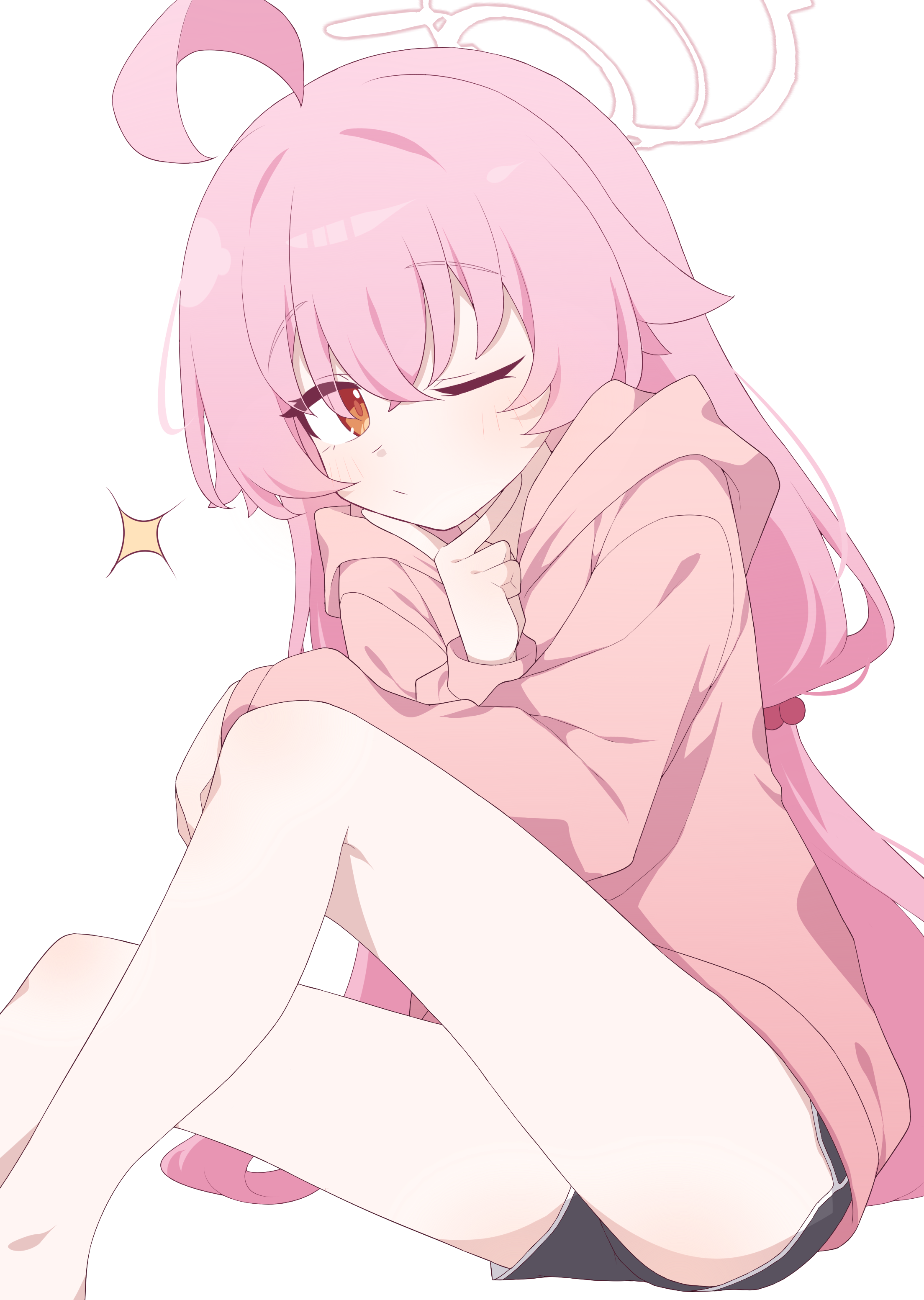 小鳥遊ホシノ