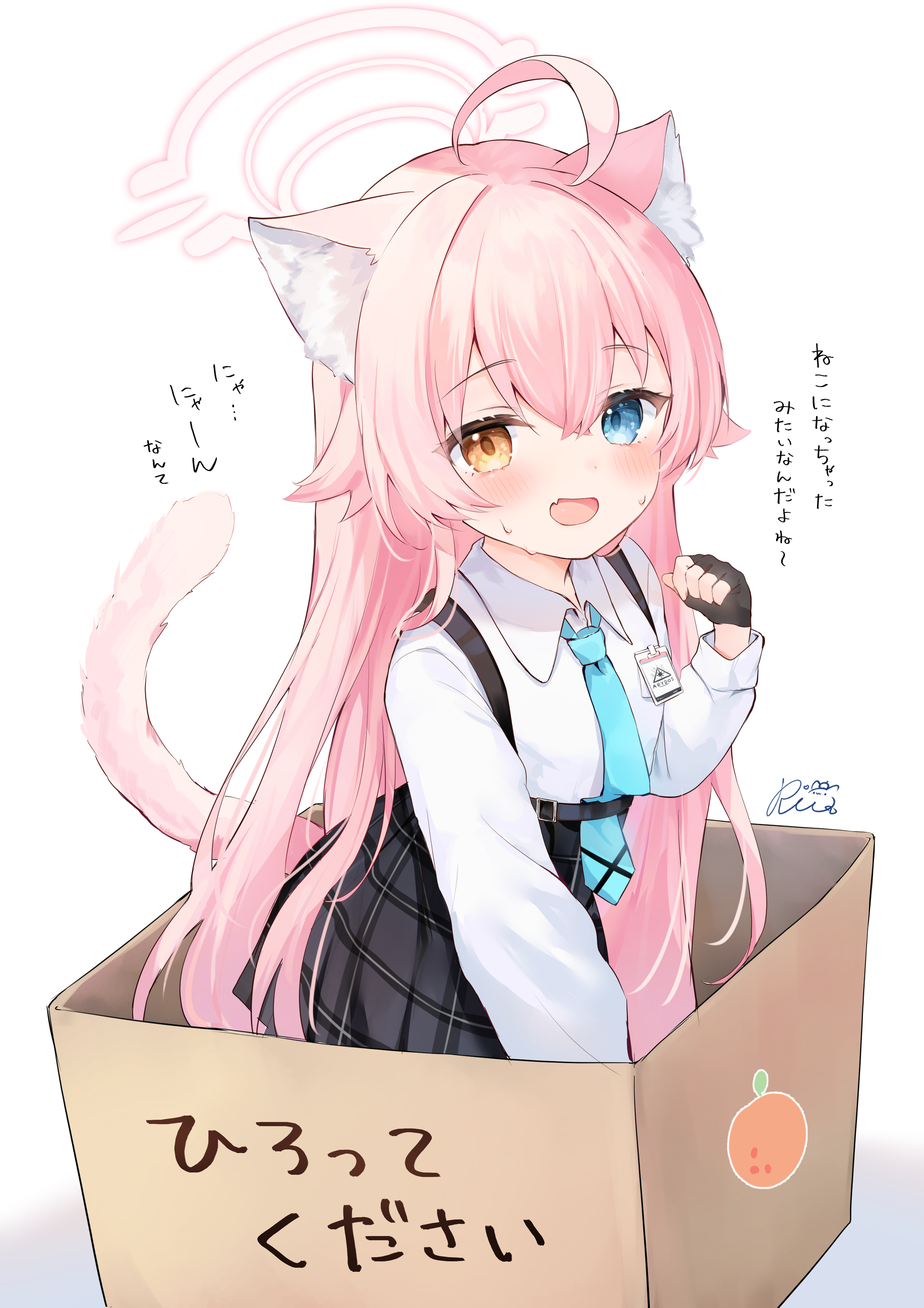猫になったホシノ