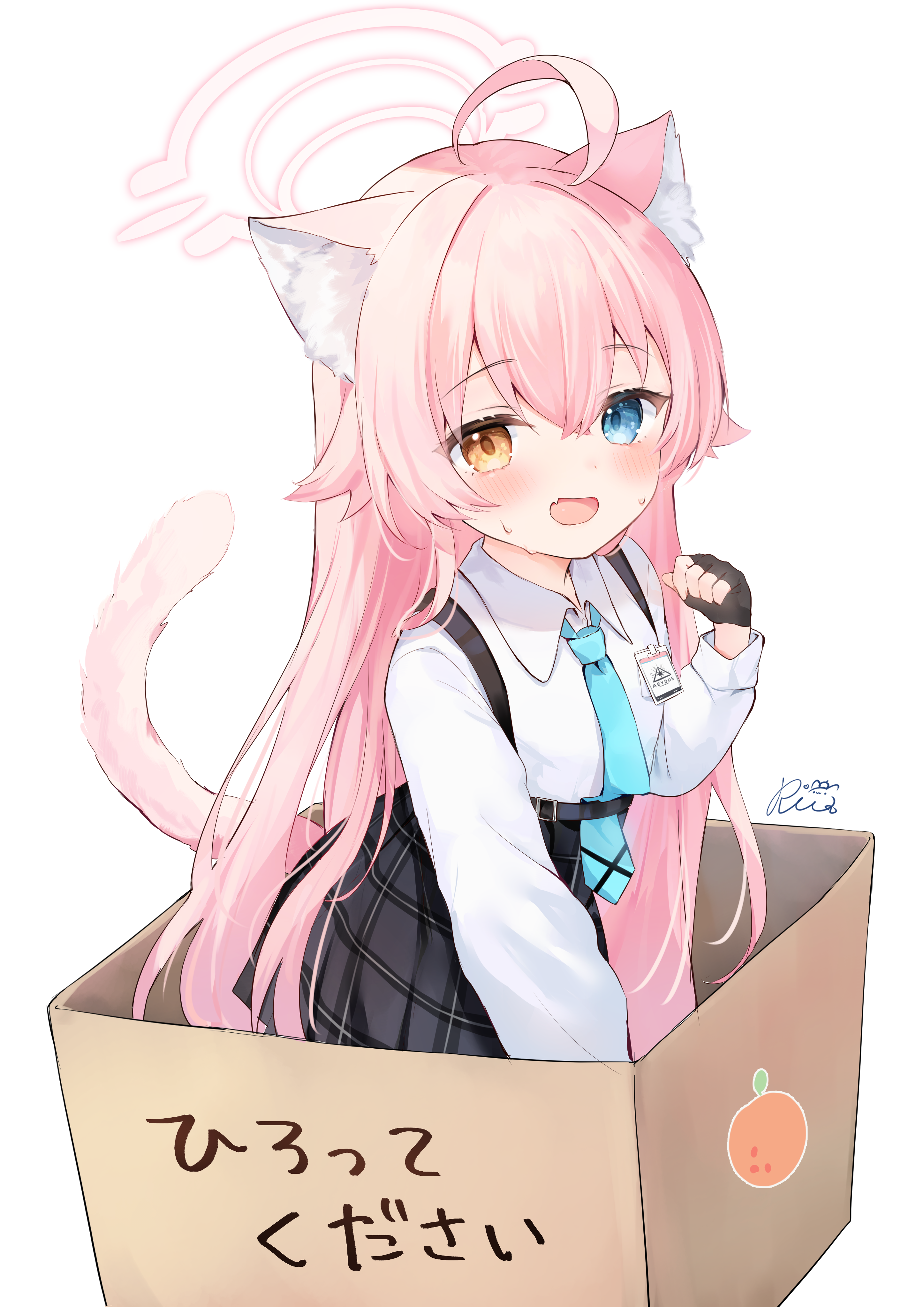 猫になったホシノ