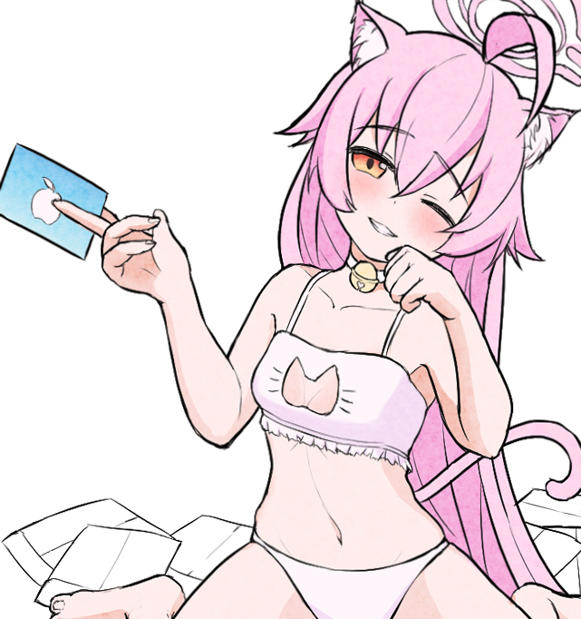 猫の日限定募集
