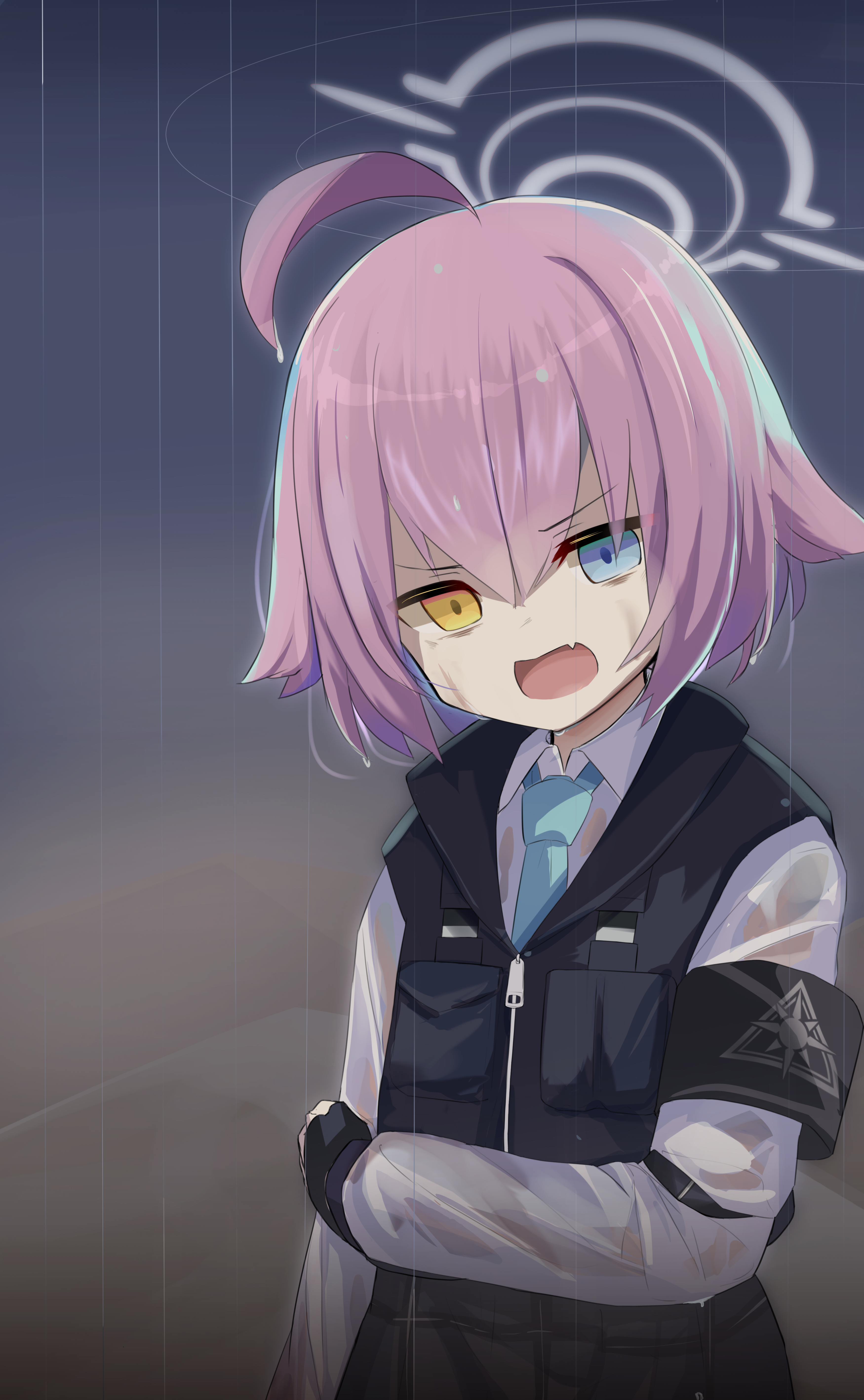 ホシノちゃん