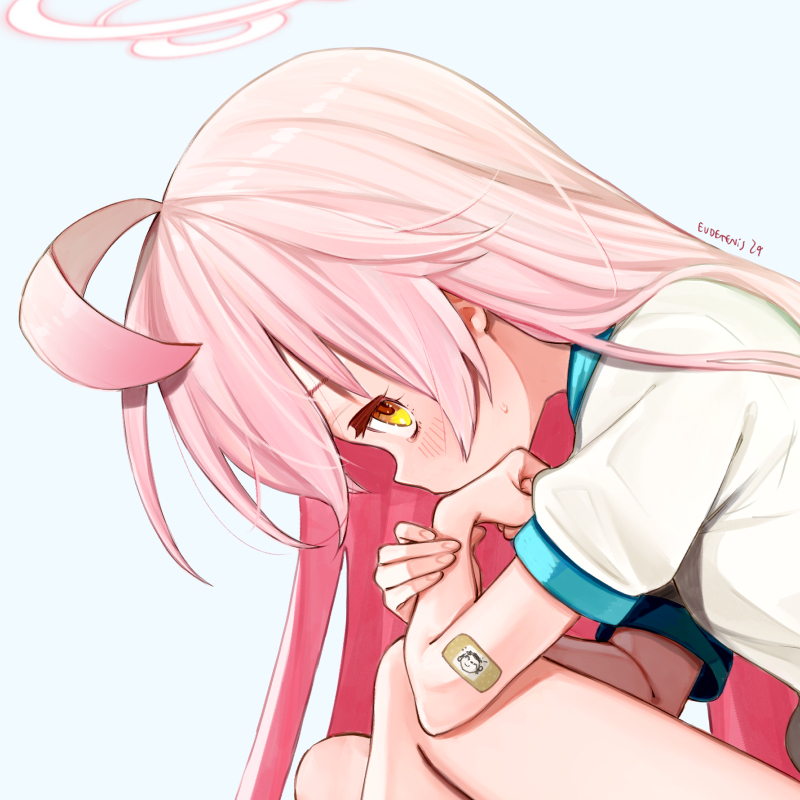 小鳥遊 ホシノ