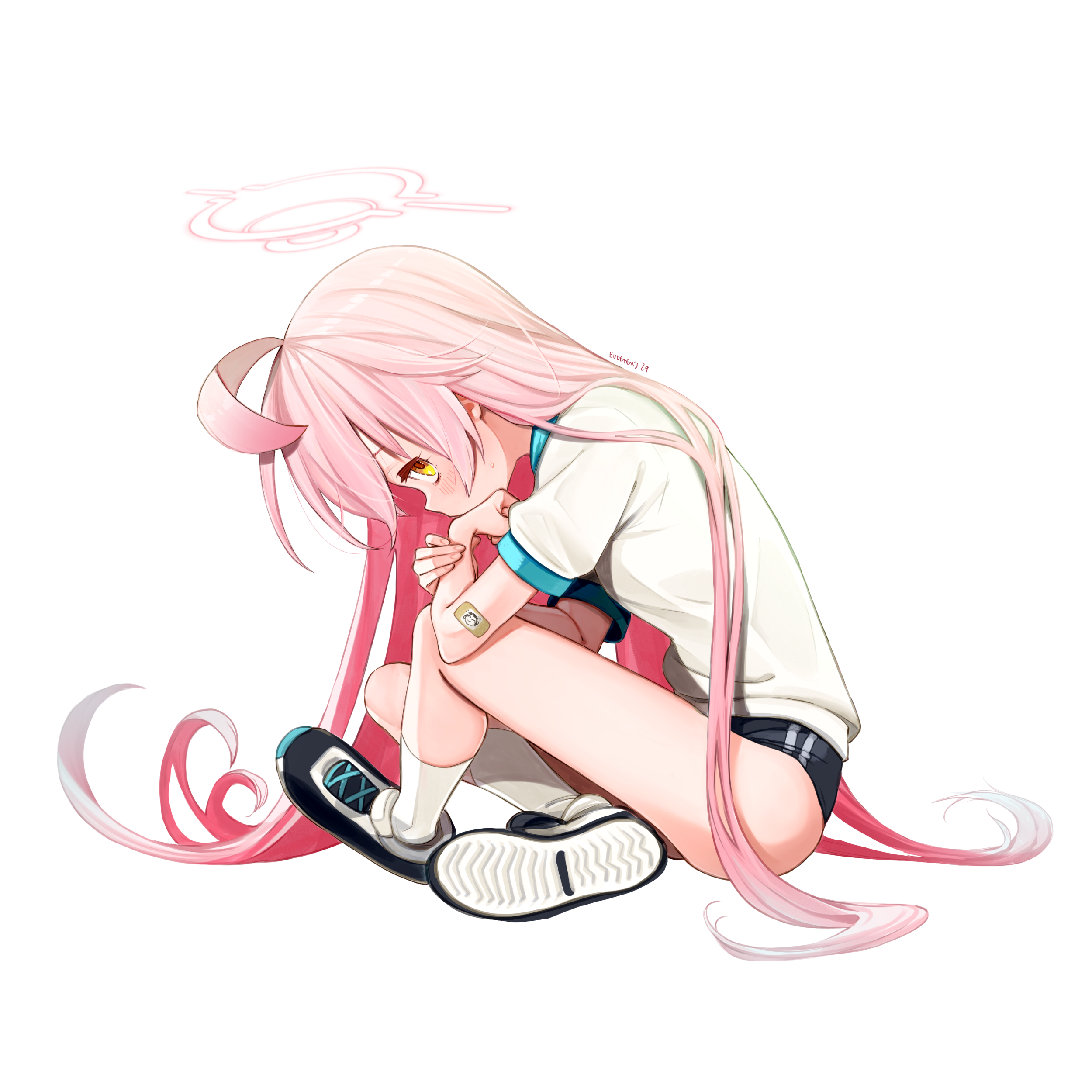 小鳥遊 ホシノ