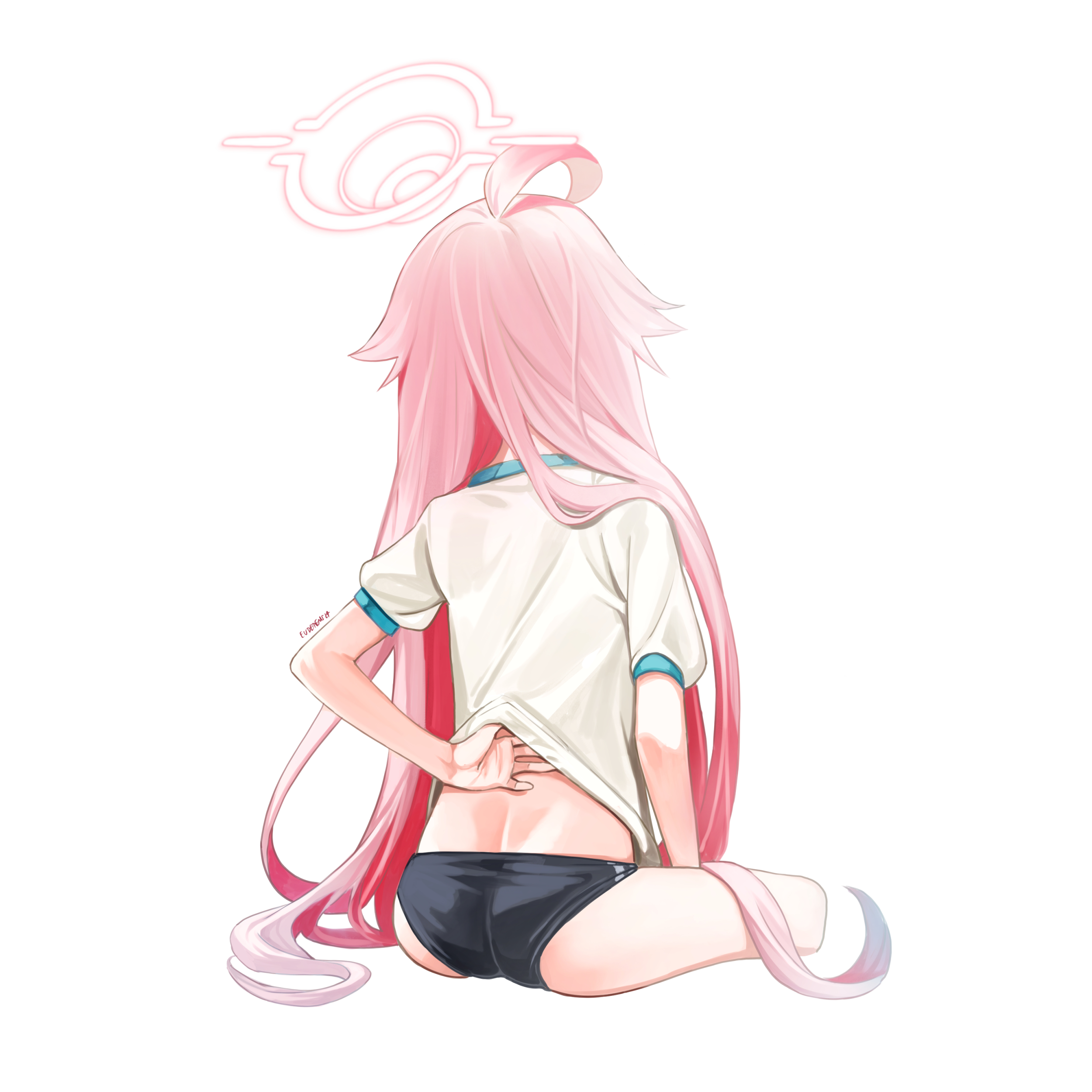 小鳥遊 ホシノ