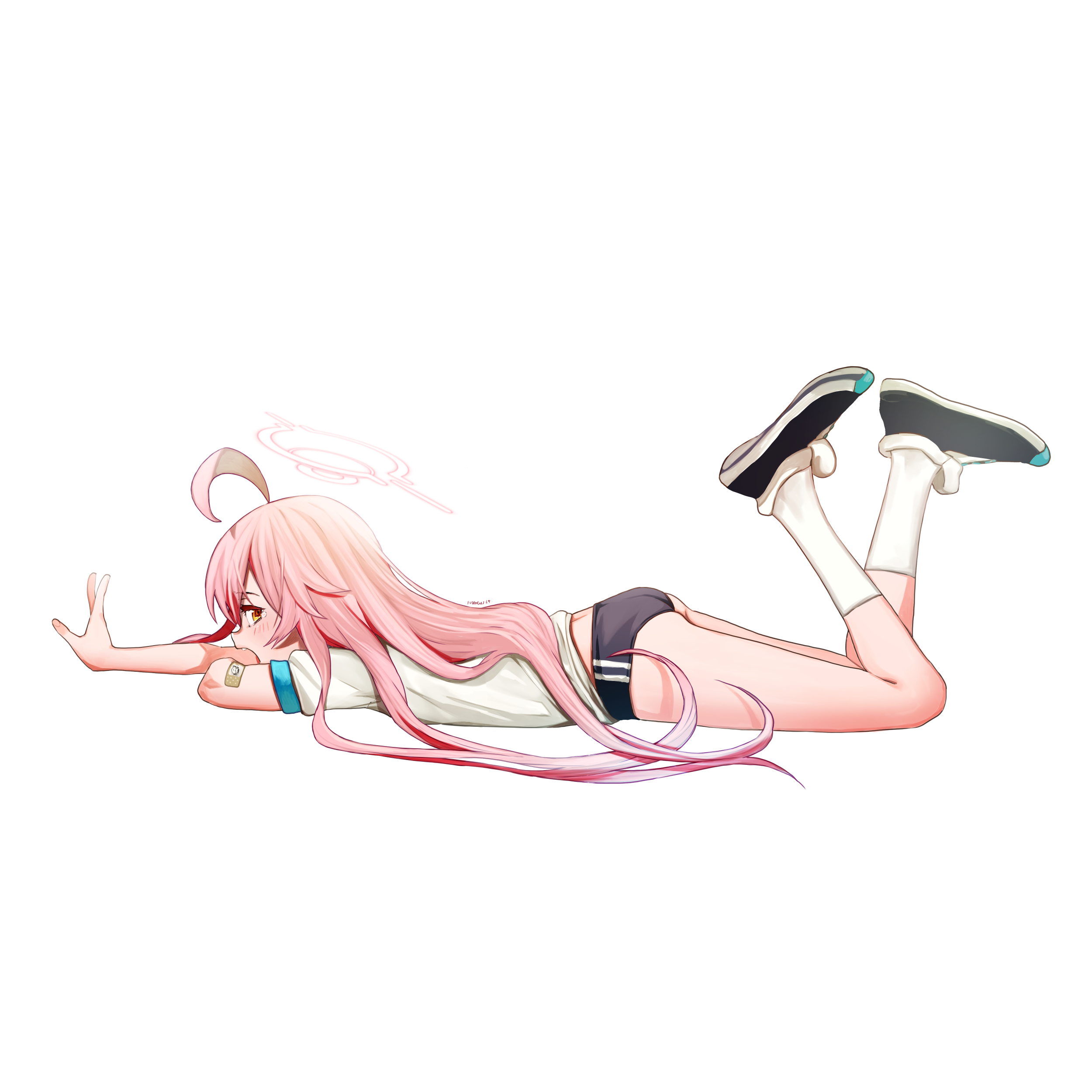 小鳥遊 ホシノ