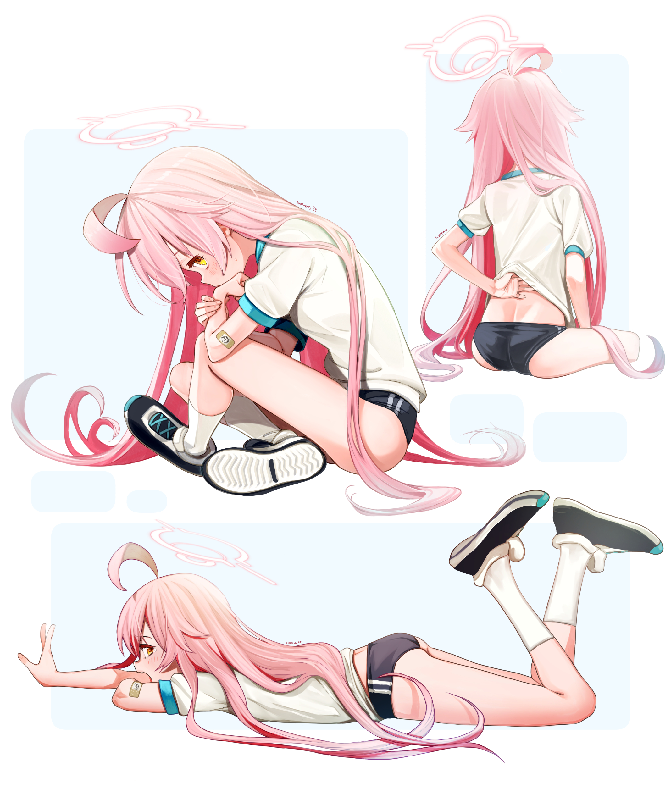 小鳥遊 ホシノ