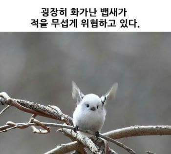 굉장히 화가난 아즈사가 적을 무섭게 위협하고 있다!